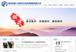 道真城市开发投资集团有限公司